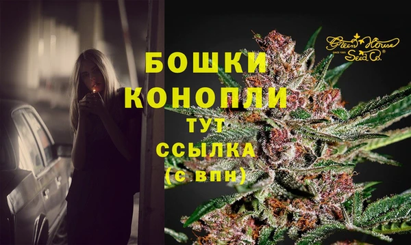 2c-b Каменка