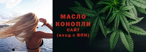 2c-b Каменка