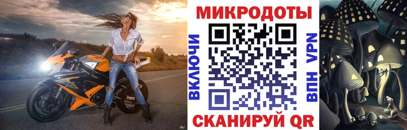 Купить где Лениногорск Галлюциногенные грибы MAGIC MUSHROOMS